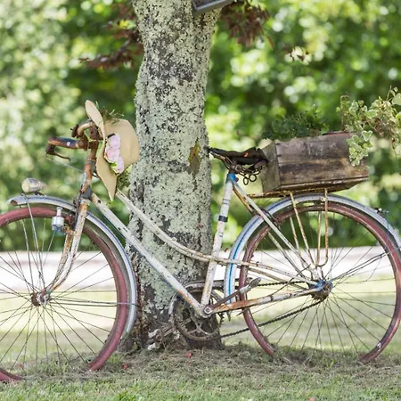 بيت للعطل La Scierie